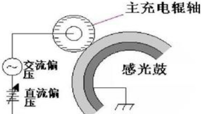 充电辊对硒鼓进行充电