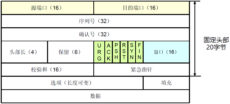 TCP报文格式